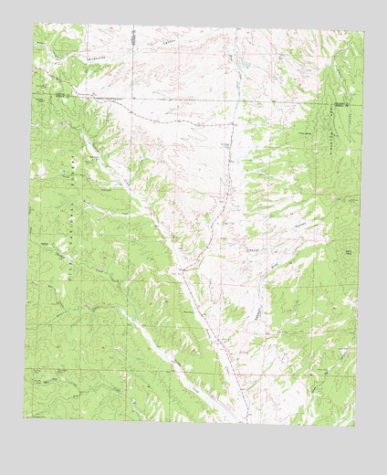 Iron Mountain, NM USGS Topographic Map