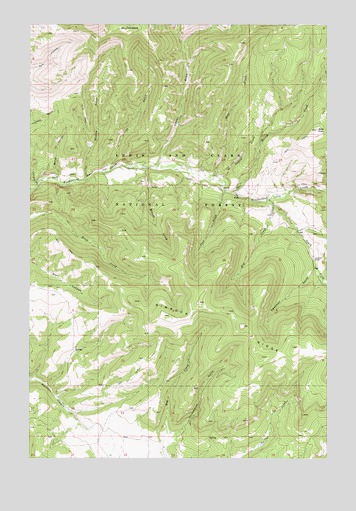 Bald Hills, MT USGS Topographic Map