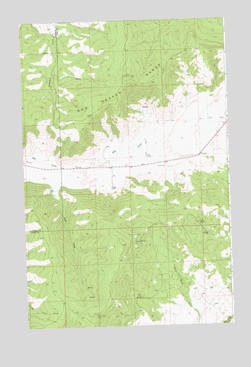 Irvine Lookout Tower, MT USGS Topographic Map