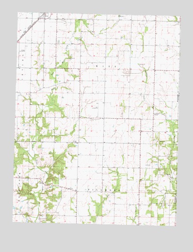 Bald Knob, IL USGS Topographic Map