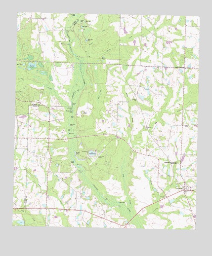 Irwinville, GA USGS Topographic Map