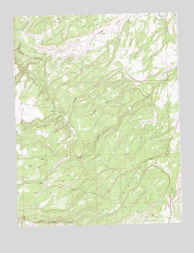 Island Mesa, CO USGS Topographic Map