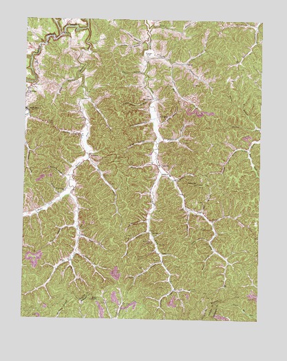 Isonville, KY USGS Topographic Map