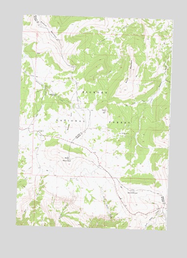 Bald Mountain, WY USGS Topographic Map