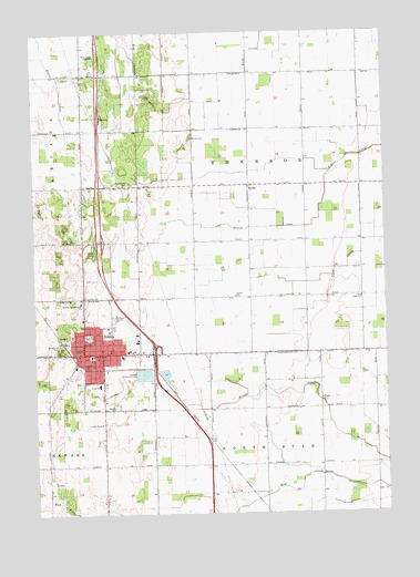 Ithaca, MI USGS Topographic Map