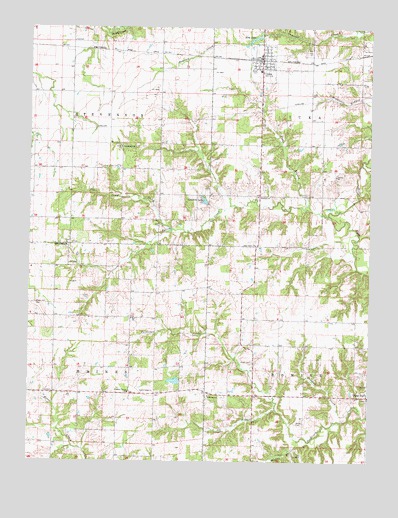 Iuka, IL USGS Topographic Map