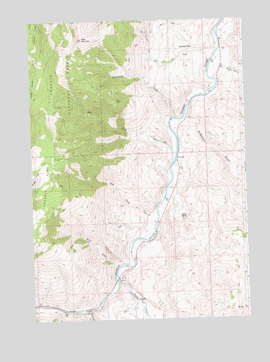 Bald Mountain, ID USGS Topographic Map