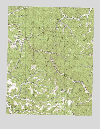 Ivyton, KY USGS Topographic Map