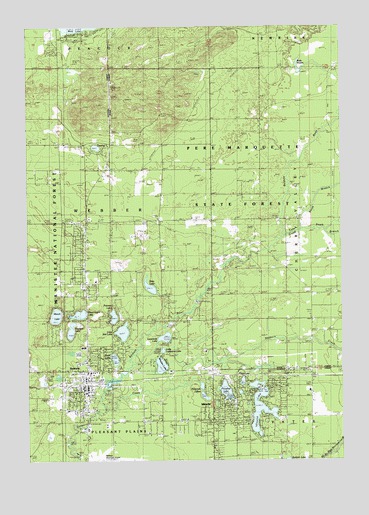 Baldwin, MI USGS Topographic Map