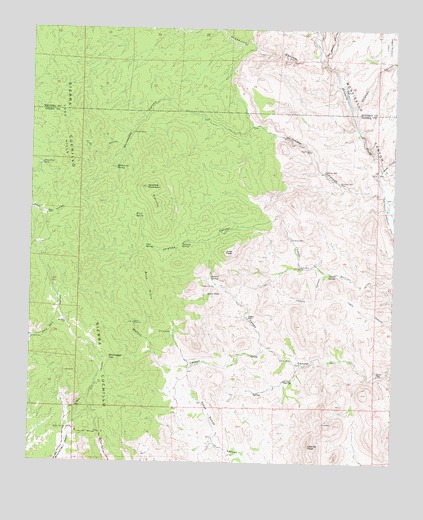 Jaralosa Mountain, NM USGS Topographic Map
