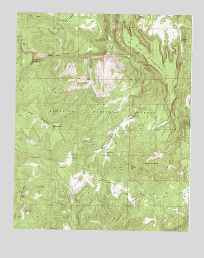 Jarosa, NM USGS Topographic Map