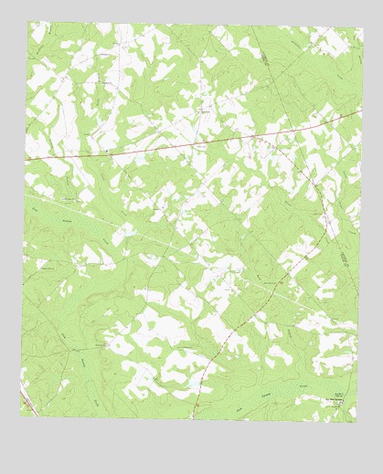 Jay Bird Springs, GA USGS Topographic Map