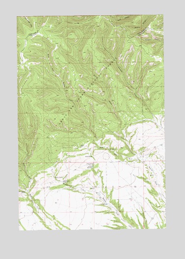 Jellison Place, MT USGS Topographic Map