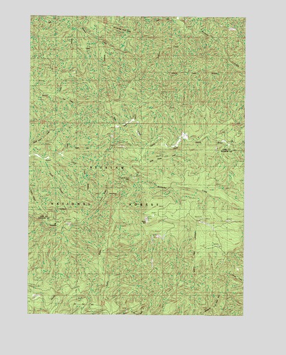 Baldy Mountain, OR USGS Topographic Map