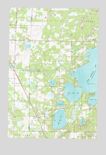 Jenkins, MN USGS Topographic Map