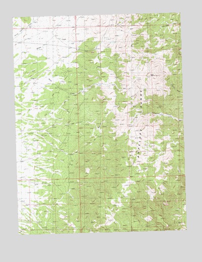 Baldy Peak, NV USGS Topographic Map