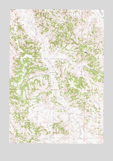 Baldy Peak, MT USGS Topographic Map