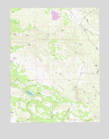 Jericho Valley, CA USGS Topographic Map