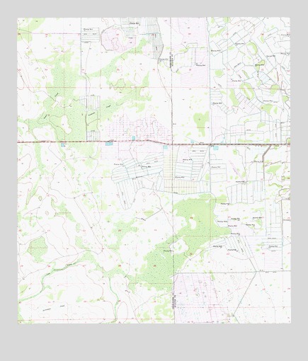 Jernigans Pond, FL USGS Topographic Map