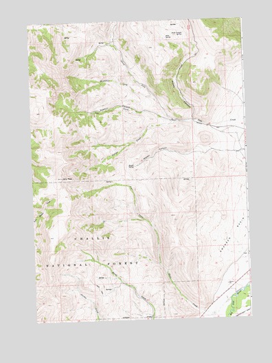 Jerry Peak, ID USGS Topographic Map