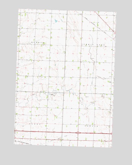 Adrian NE, MN USGS Topographic Map
