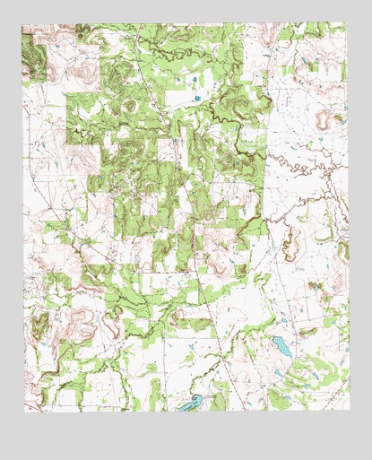 Johnson Lake, TX USGS Topographic Map