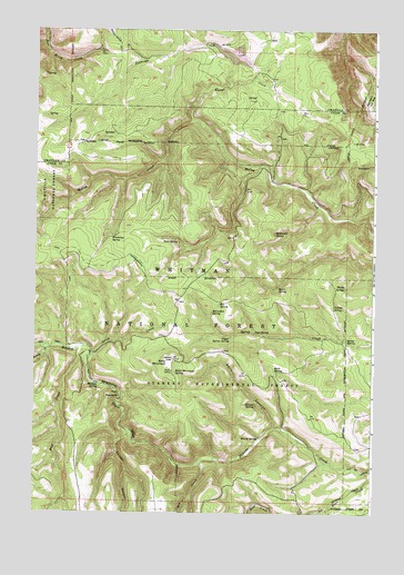 Bally Mountain, OR USGS Topographic Map