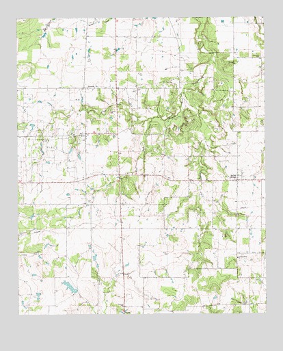 Joy, TX USGS Topographic Map