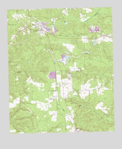 Junction City, GA USGS Topographic Map