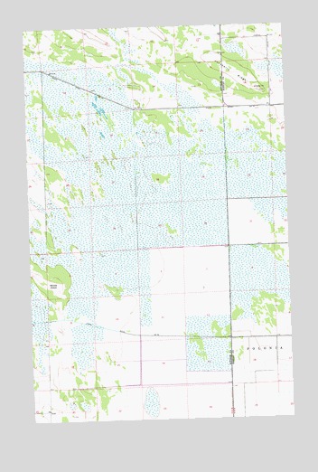 Juneberry Ridge, MN USGS Topographic Map