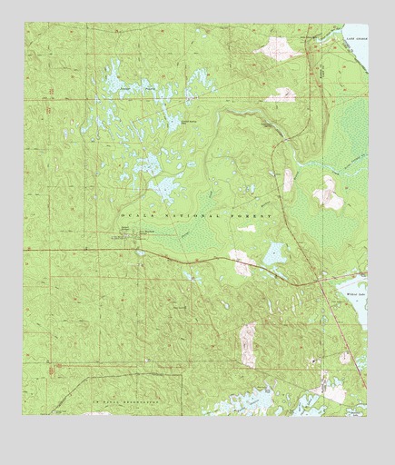 Juniper Springs, FL USGS Topographic Map