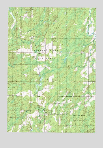 Banat, MI USGS Topographic Map