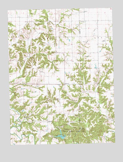 Kellerville, IL USGS Topographic Map
