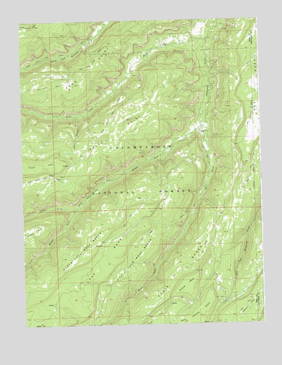 Kelso Point, CO USGS Topographic Map