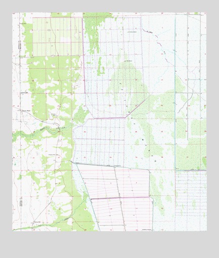 Kenansville NE, FL USGS Topographic Map