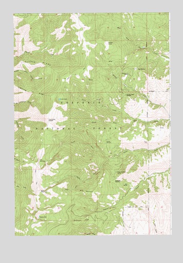 Kessler Creek, ID USGS Topographic Map