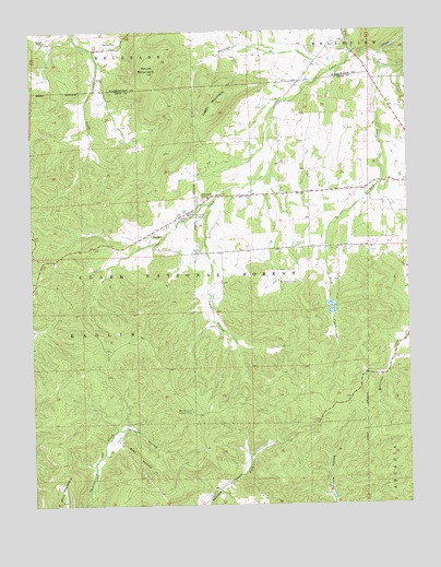 Banner, MO USGS Topographic Map