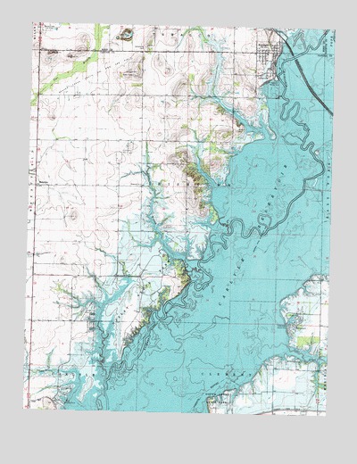 Keyesport, IL USGS Topographic Map