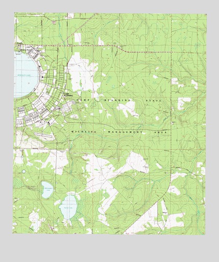 Kingsley, FL USGS Topographic Map