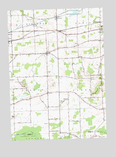 Knowlesville, NY USGS Topographic Map
