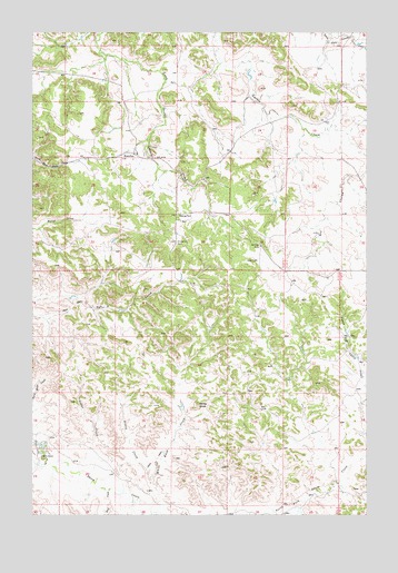 Knowlton, MT USGS Topographic Map