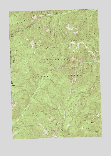 Bare Cone, MT USGS Topographic Map