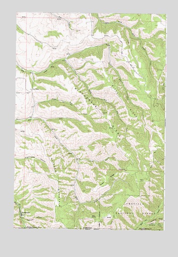 Kooskooskie, WA USGS Topographic Map
