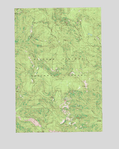 Bare Mountain, WA USGS Topographic Map