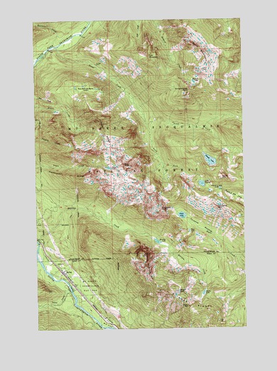 Baring, WA USGS Topographic Map
