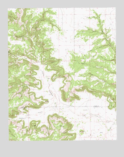 La Cinta Canyon, NM USGS Topographic Map