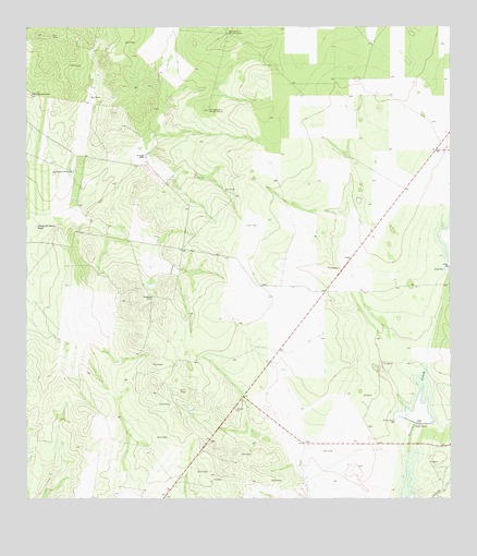 La Gloria SW, TX USGS Topographic Map