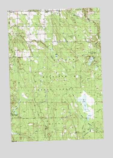 Afton, MI USGS Topographic Map