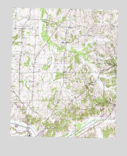 Laconia, TN USGS Topographic Map
