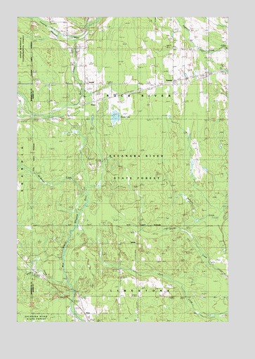 Ladoga, MI USGS Topographic Map